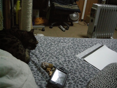 三匹目は，真横で。 2009/03/19-2