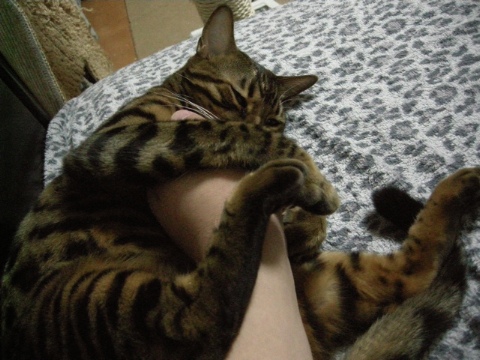 仕事に飽きたら。。。 2009/03/19-3