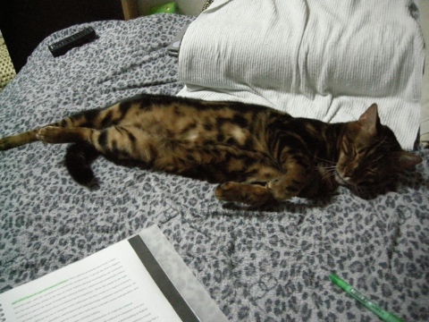 独占状態 2009/03/19-5