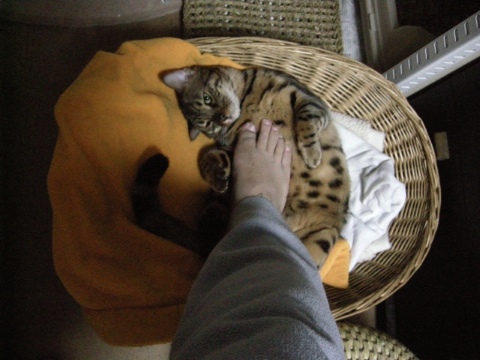 ご要望に応えて 2009/03/23-5