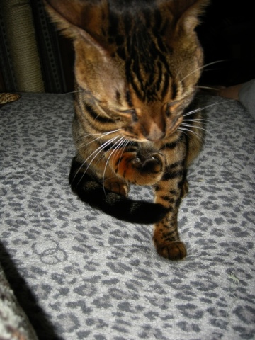 ふとみると。。。 2009/03/30-1