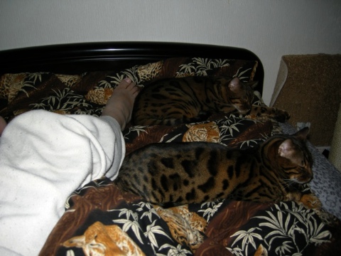 （^_^;）＼（・_・） オイオイ 2009/03/30-5