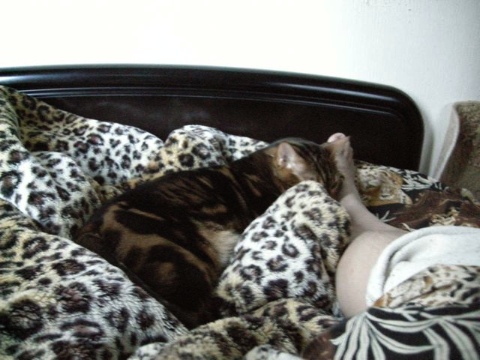 おいおい 2009/04/02-3