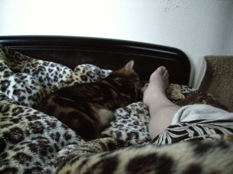 。。。 2009/04/02-4