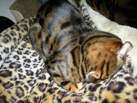 あれ？ 2009/04/05-2