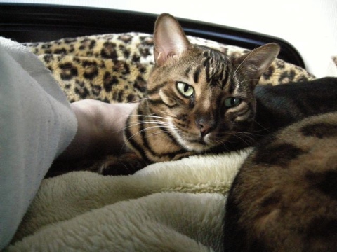 ふま〜ん 2009/04/05-4