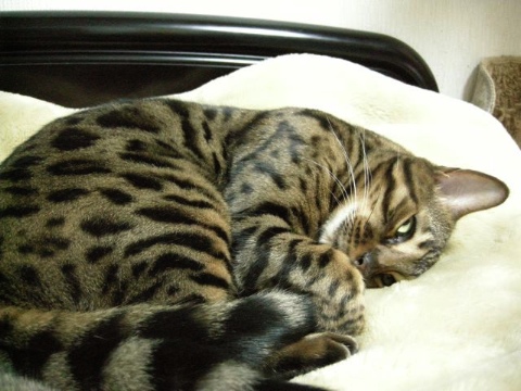 遊んでポーズへ 2009/04/11-6