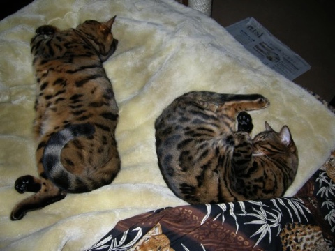 定位置 2009/04/19-2