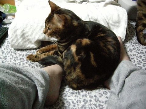 寝るのにジャマ 2009/04/25-3