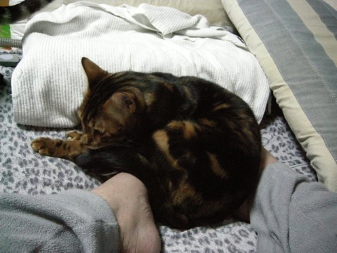 いすわる 2009/04/25-4