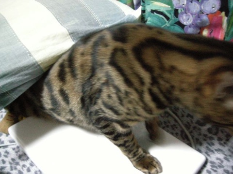 ぼくはここで。。。 2009/04/25-5