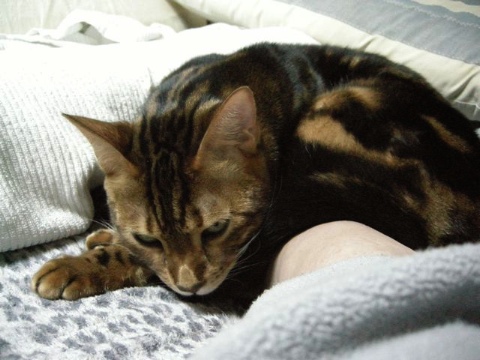 ねるよぉ〜 2009/04/25-6