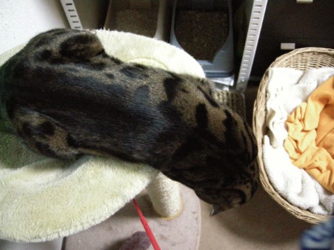 じー ( ・_・) 2009/05/01-2