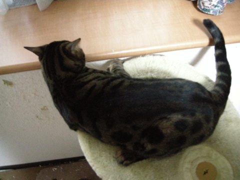 むむっ 2009/05/01-3