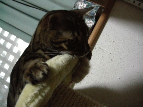 む〜〜 2009/05/01-5