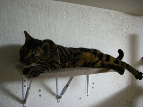 ヒント 2009/05/10-4