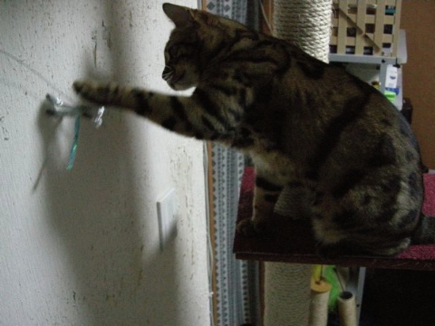 目の前にないといけない 2009/05/12-2