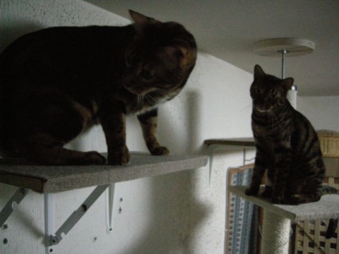 両者にらみ合い 2009/05/12-3