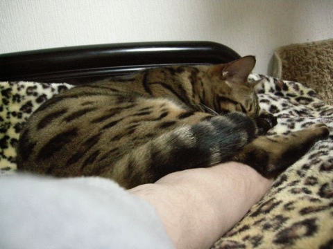 タッチ 2009/05/16-1