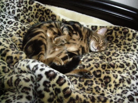 無防備 2009/05/16-2