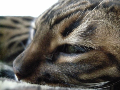 起こしたら。。。。 2009/05/16-6