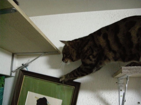 こんなことや 2009/05/30-4