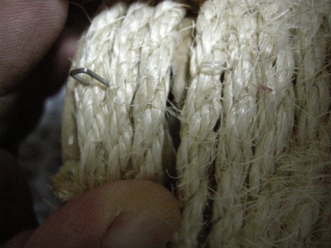 半分割れている 2009/06/07-2