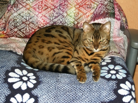 ご機嫌ななめ 2009/06/22-1