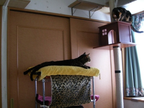 いやなあいつ 2009/06/22-2