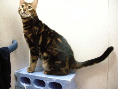 ジュニアの主張 2009/06/22-4