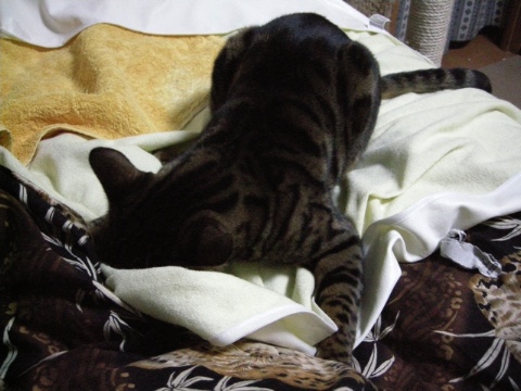 脚の上にしがみついて 2009/06/27-2