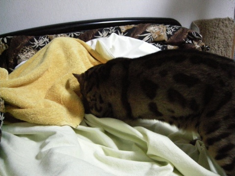 2番手 2009/06/29-2