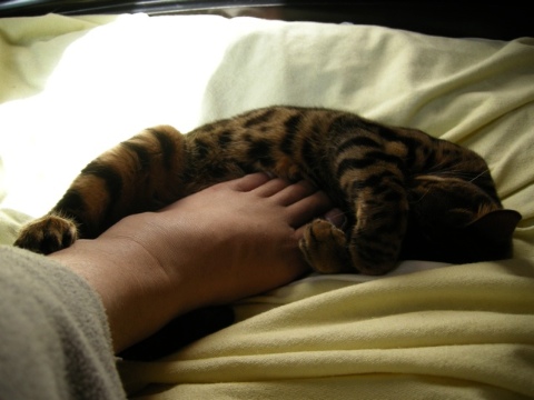 寝ぼけて 2009/07/06-5