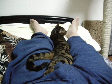 好きな寝場所 2009/07/10-1