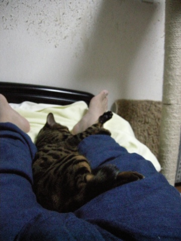 もたれるところがないとね 2009/07/10-2