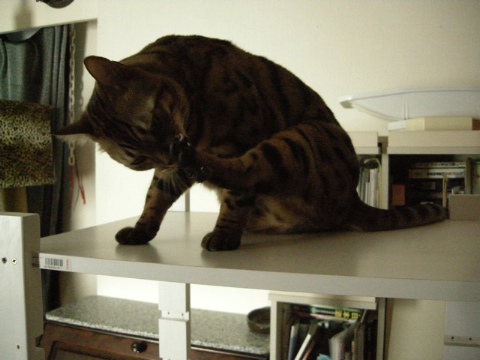 ここはどこでしょう？ 2009/07/12-1