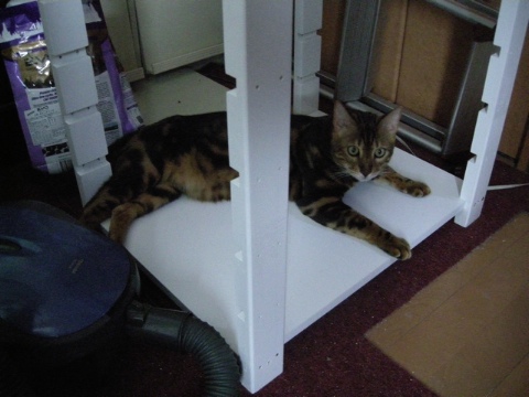 出遅れてしまった 2009/07/12-3