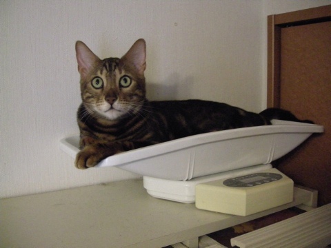 安住の地はここ？ 2009/07/15-4