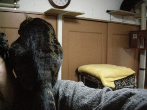 肩のりチエ 2009/07/15-5