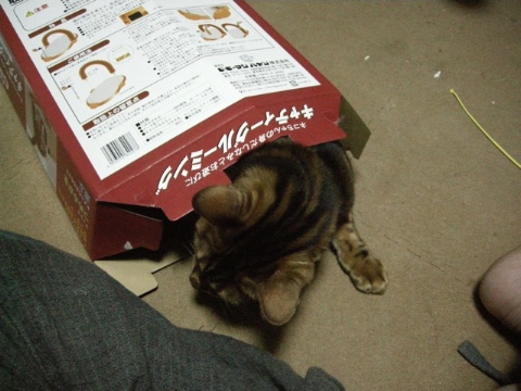 脱出（続き） 2009/07/20-1