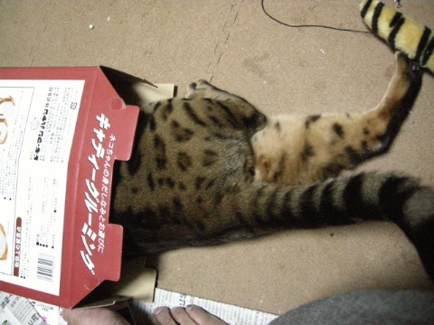 選手交代 2009/07/20-2