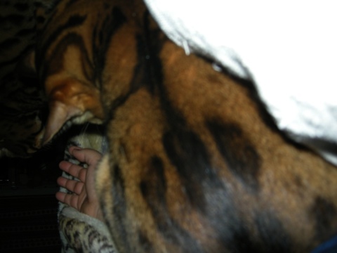 実力行使 2009/07/20-4