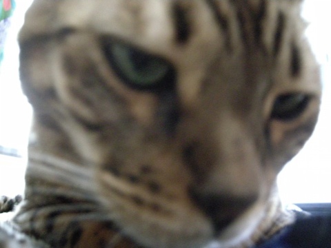 手配書 2009/07/20-5