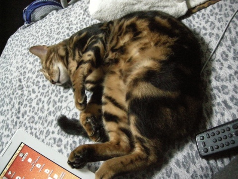 待ちくたびれた 2009/07/25-2