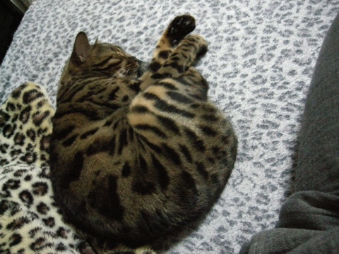 待ちきれず 2009/07/25-3