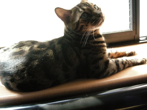 チエちゃんも 2009/07/30-2