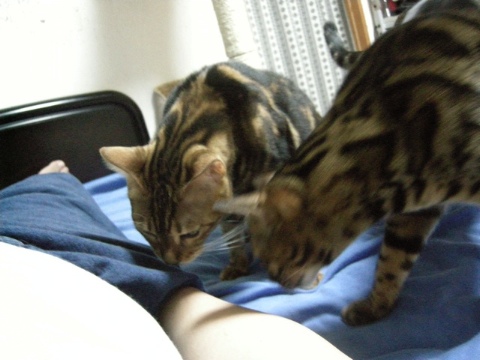 ポケットの中 2009/07/30-4