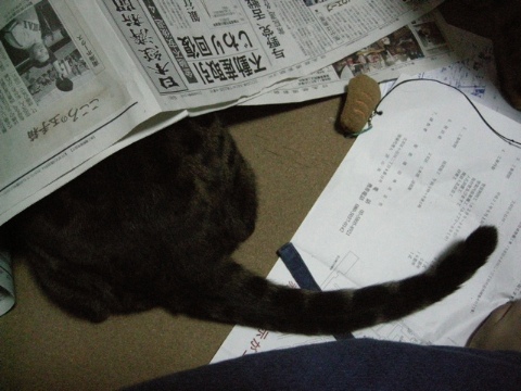 いつまでも 2009/08/03-3