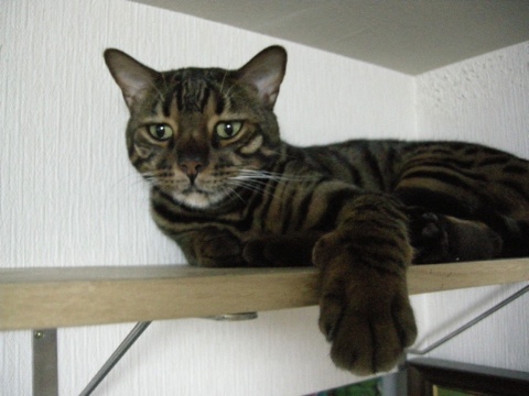 私もねむいっす 2009/08/06-5