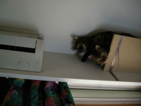 なかよく。。。 2009/08/12-2